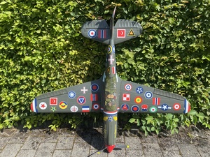 This P-40 Curtiss Warhawk has been in my basement since we moved in - can you believe it?