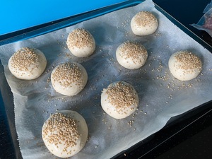 The formed boules with sesame seeds, ready for their second rise.