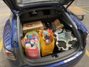 We went to Aligro for 'bulk' shopping, and we got a lot of food!