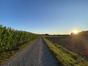 The sunset over the fields in our village.  I love Switzerland!!