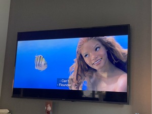 After dinner, Marina and I watch Ariel (the 2023 version) - I saw it once on a plane but Marina hasn't seen it yet
