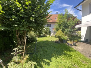 The before shot of the backyard with a bit of grassy goodness that needs to become less grassy goodness