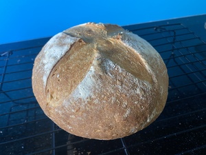 A tasty, thawed, and finish-baked boule of artican white bread, from last week. Very tasty in the rebound!