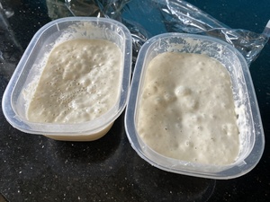 I fork() Dougie into one parent and two child PIDs. These will become breads tomorrow.
