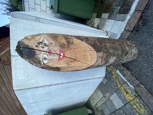 Somebody left a cute looking tree trunk/log at the garbage bins, but I don't think it will be picked up, it's waaaay to big/heavy.