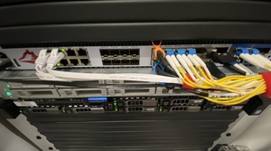 Closeup of msw0.chgtg0.net.ipng.ch - IPng's transport switch at Interxion - it is running pretty full of 10G and 25G connections, the network is very well connected here.