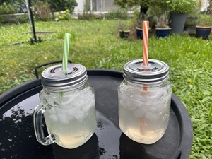 The Gin&Tonic today is with a gingerbeer tonic and a blackberry Gin which is completely colorless.