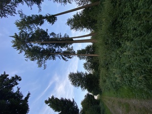 After dinner, we crawl up the hill in slow motion. But it sure is pretty up here.