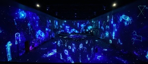 Another view from the balcony into the room, while it's projecting Da Vinci's astronomy work. It's gorgeous.