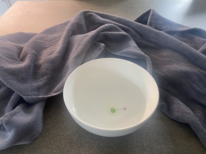 I developed a strong headache behind my left eye socket, and steaming with this Vicks pellet did help a little bit, overall: half the day lost sleeping it off.