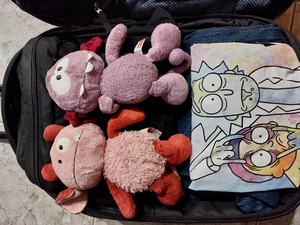 My luggage which is also a temporary holding place for our alien friends: Uhi (left) and Hey (right)