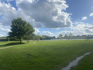 The meadow around the Van Der Valk in Wolvega is super nice today
