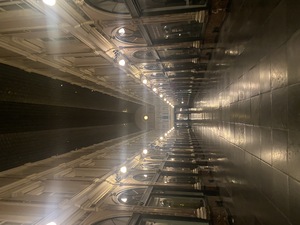 We walk back through beautiful Gallerie Royale.