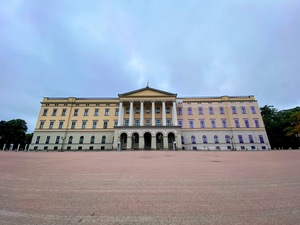 An overview / wideangle shot of the royal palace