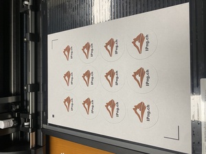 Printing and cutting the IPng pins on the Cameo v5