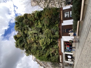 This house on Rue de la Carreaux is beautifully overgrown with green shrubbery.
