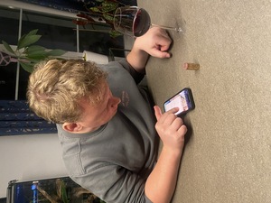 Tim is plotting a route for us to fly the IPng Ring with a plane next year, that'll be fun!