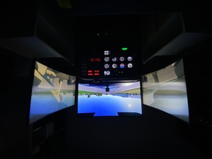 I've set up these monitors as left- and right facing doors + wings in the cockpit. I line up the horizon so that it's a smooth transition from left to center to right.